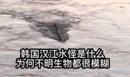 汉江水怪在线观看