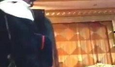 主播冰心爆料视频